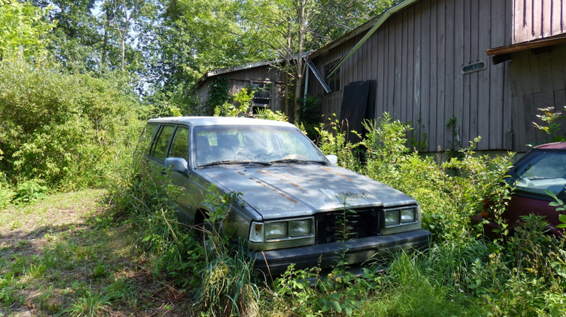Illustration for article titled A Michigan Town Is Forcing This Man To Sell 20 Old Cars Off His Property Every Month